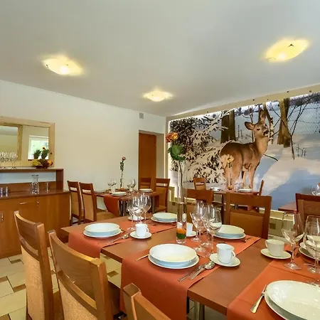 Sarenka Guest house Krynica Zdroj