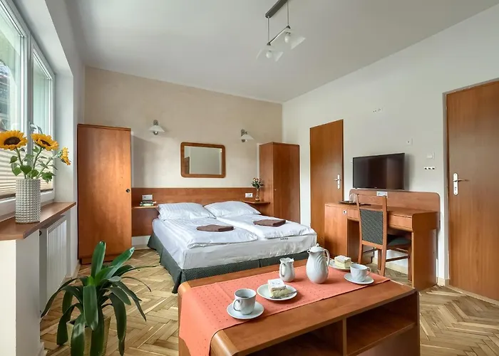 Sarenka Krynica Zdroj