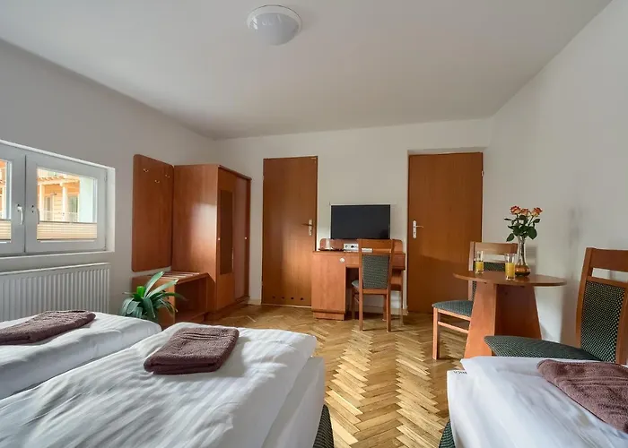 Sarenka 3* Krynica Zdroj