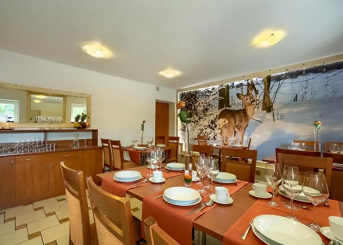 Sarenka Gasthuis Krynica Zdroj